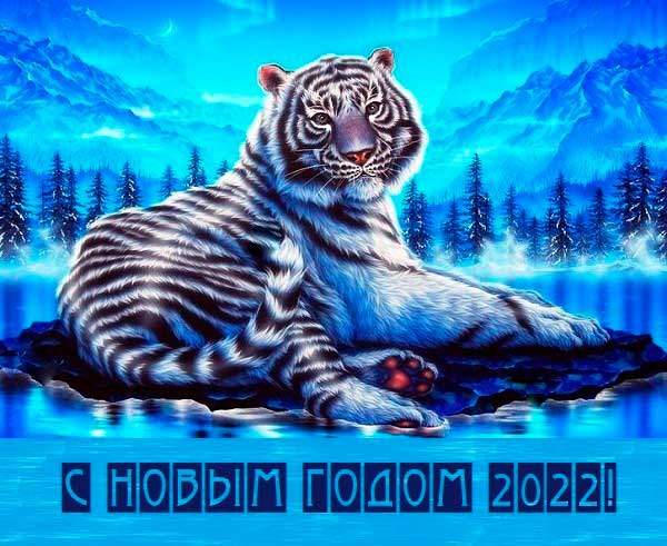 severnet.ru 2021